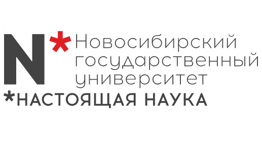 Ученые НГУ и ВолгГТУ создали цифрового помощника разработчика эластомеров