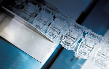 Елена Меланич: «Соединить детали в целое»