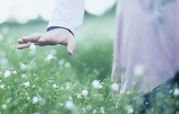 Новые тренды в производстве зеленых пластиков