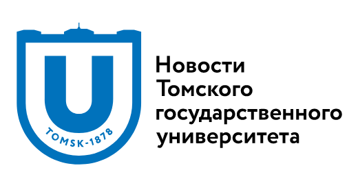 Российские и индонезийские учёные совместно создают новые антимикробные полимерные материалы