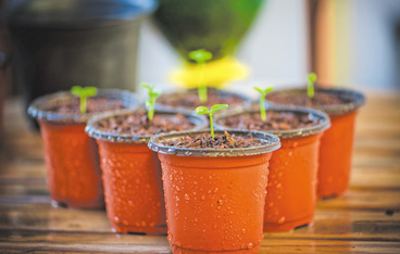 Пероксидные мастербатчи облегчают рециклинг ПП