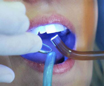 HARZ Labs увеличивает производство