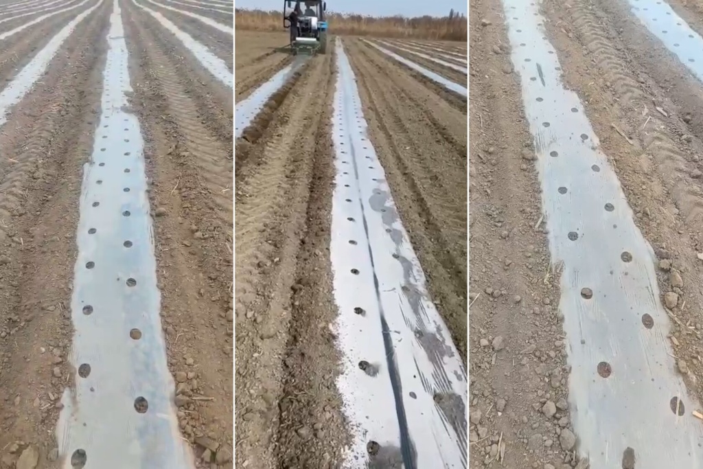 83 тысячи км сельскохозяйственной пленки произвели из вторсырья в 2025 году